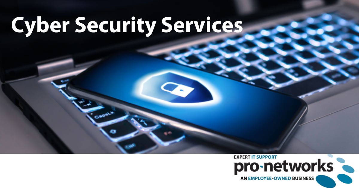 Cyber Security Services by Pro-Networks