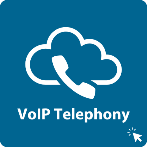 Business VoIP Telephony